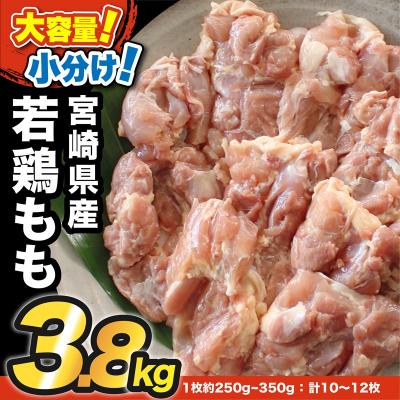 ふるさと納税 西都市 宮崎県産若鶏もも肉合計3.8kg(10枚〜12枚)真空個包装/小分け[3053]