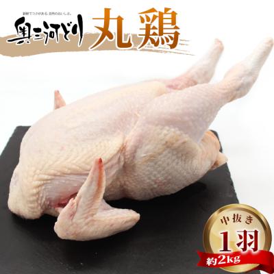 ふるさと納税 設楽町 中抜き 焼くだけ 奥三河どり 丸鶏 1羽 (約2kg) 国産 鳥 チキン