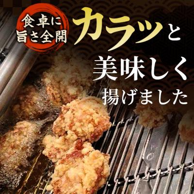 ふるさと納税 設楽町 レンチンで簡単調理! 特大! ジューシー! 奥三河どり もも肉 から揚げ 500g 鶏肉 |  | 01