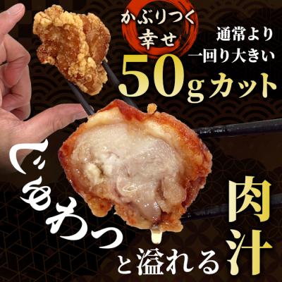 ふるさと納税 設楽町 レンチンで簡単調理! 特大! ジューシー! 奥三河どり もも肉 から揚げ 500g 鶏肉 |  | 02