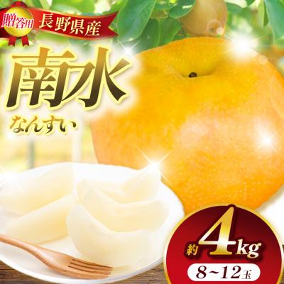 ふるさと納税 伊那市 信州 上伊那産の梨 贈答用 南水 約4kg (8〜12玉)