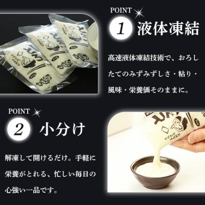 ふるさと納税 三沢市 さらさらふんわり やませながいも 冷凍とろろ(80g