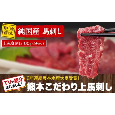 ふるさと納税 _玉東町 上赤身馬刺し100g×9セット(10ml×9袋)[3-7日以内に出荷予定(土日祝除く)]