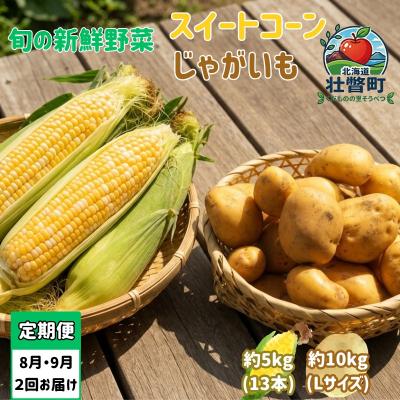 ふるさと納税 壮瞥町 [2回定期便]旬の野菜定期便[8月上旬・9月下旬お届け]S