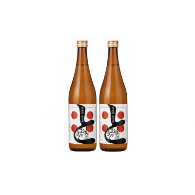 ふるさと納税 安田町 無濾過 純米酒「土佐のおきゃく」720ml×2本