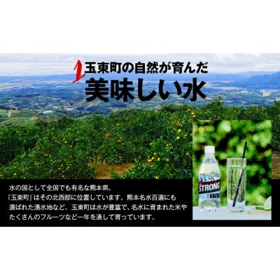 ふるさと納税 玉東町 強炭酸水 500ml×24本 熊本県 玉東町産 強炭酸 水 飲料 大容量 [4月上旬-6月末頃出荷]
