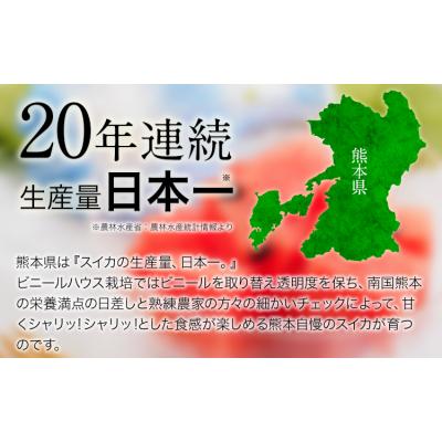 ふるさと納税 玉東町 [先行予約]『きよたファーム』のすいか 1玉約8〜10kg[2026年5月下旬-6月下旬頃出荷]
