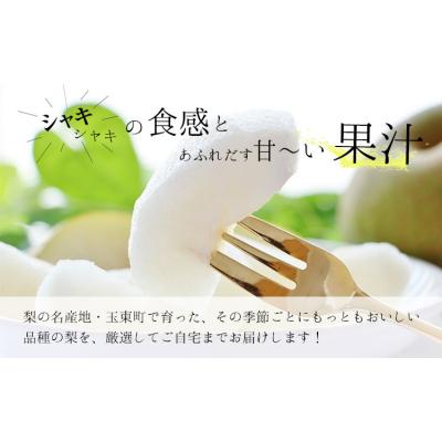 ふるさと納税 玉東町 玉東梨 約5kg 6玉-18玉前後 [8月中旬-9月末頃出荷][日付指定・品種指定不可]