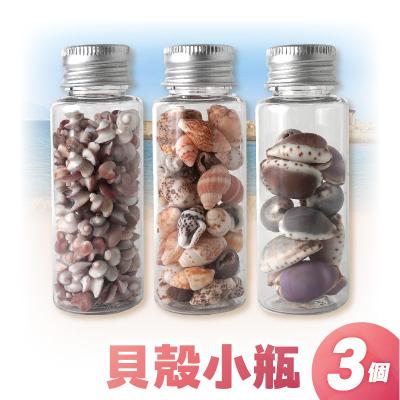 ふるさと納税 天草市 貝殻小瓶3本セット
