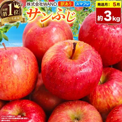ふるさと納税 弘前市 26年5月クール便発送 サンふじ 3kg 家庭用 スマートフレッシュ|24_wan-020301
