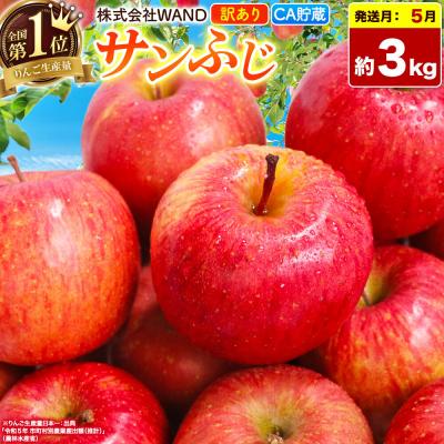 ふるさと納税 弘前市 26年5月クール便発送 サンふじ 3kg 家庭用 CA貯蔵|24_wan-030301