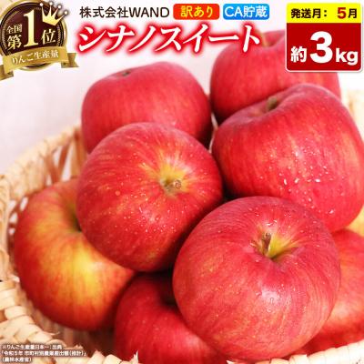 ふるさと納税 弘前市 26年5月クール便発送 シナノスイート 3kg 家庭用 CA貯蔵|24_wan-050301