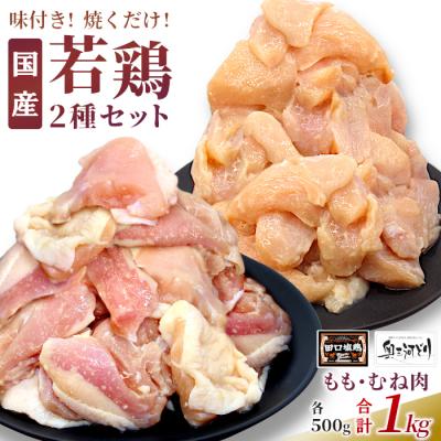 ふるさと納税 設楽町 田口塩鶏 国産 若鶏味付け肉 2種セット 1kg(もも250g×2・むね250g×2) 奥三河どり