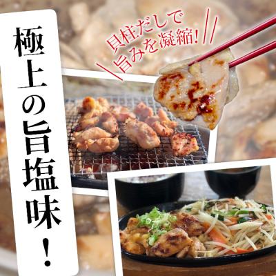 ふるさと納税 設楽町 田口塩鶏 国産 若鶏味付け肉 2種セット 1kg(もも250g×2・むね250g×2) 奥三河どり |  | 03