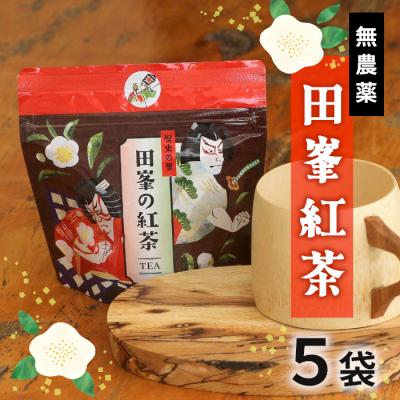ふるさと納税 設楽町 栽培期間中農薬不使用! 田峯紅茶 5袋セット 紅茶 アイスティー ホット アイス お茶