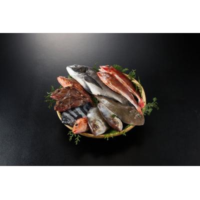 ふるさと納税 境港市 <金〜日着><4月上旬〜10月末頃発送予定>朝獲れ鮮魚ボックス「美保湾の恵み」(計2.5kg以上)