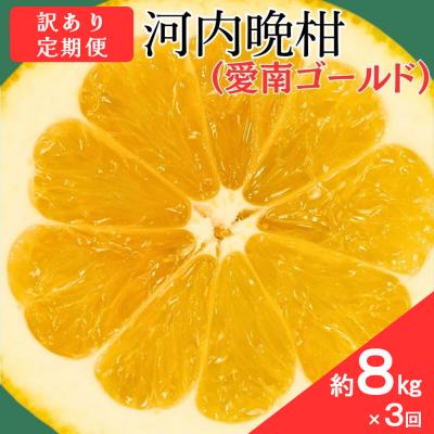 ふるさと納税 愛南町 訳あり 愛南ゴールド ( 河内晩柑 ) 旬の定期便 全3回 8kg 愛媛県 愛南町 愛なんよ
