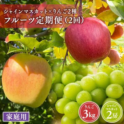 ふるさと納税 平川市 青森フルーツ満喫便 家庭用 りんご&amp;シャインマスカット 2回定期コース