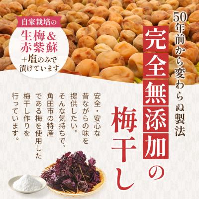 ふるさと納税 角田市 【先行予約】＜訳あり＞まごころ手作り梅干し1.6kg800g×2)10月上旬以降順次発送 |  | 02