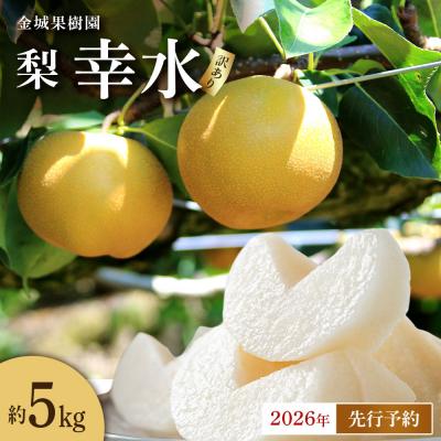 ふるさと納税 角田市 訳あり/2026年先行予約金城果樹園 梨「幸水」約5kg10〜16玉入)2026年8月中旬〜順次発送