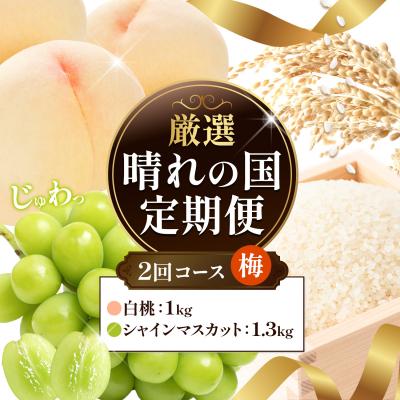 ふるさと納税 笠岡市 フルーツ 厳選 晴れの国定期便 シャインマスカット 1.3kg 白桃 1kg 2回 お届け 定期便