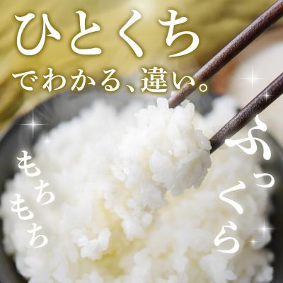 ふるさと納税 神埼市 【令和8年産 新米先行受付】さがびより 無洗米 5kg【12ヶ月定期便】農園(H061E55) |  | 01