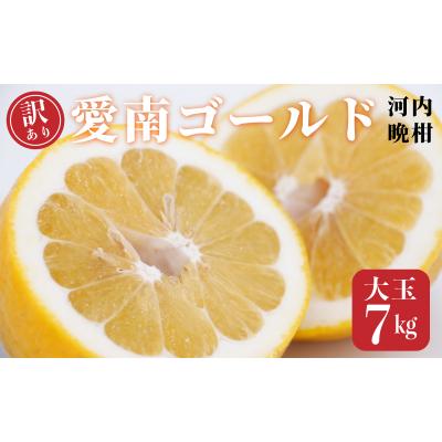 ふるさと納税 愛南町 訳あり 愛南ゴールド 大玉 7kg 河内晩柑 和家農園