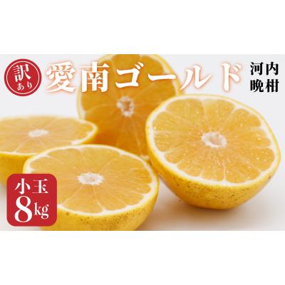 ふるさと納税 愛南町 訳あり 愛南ゴールド 小玉 8kg 河内晩柑 和家農園