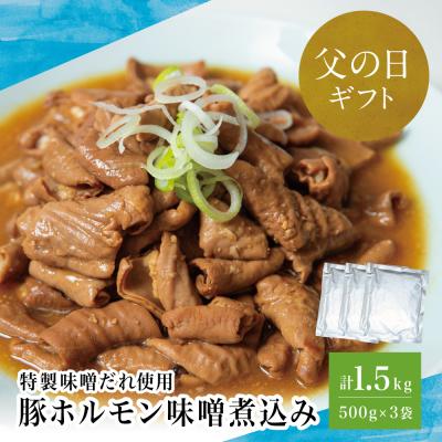 ふるさと納税 南さつま市 [父の日ギフト]マイスター山野井 豚ホルモン味噌煮込み 500g×3P 計1.5kg もつ煮込み