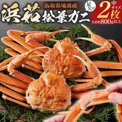 ふるさと納税 境港市 <金〜日着><11月中旬〜3月上旬発送予定>浜茹松葉ガニ足欠(2枚/計約800g以上)