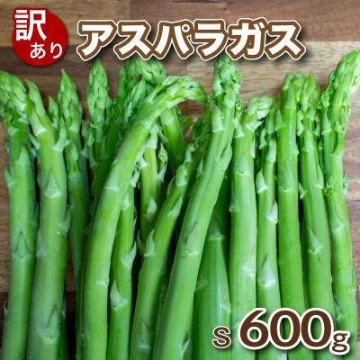 ふるさと納税 下関市 [7-8月発送] 訳あり アスパラガス B品 600g 朝採れ S 下関 山口