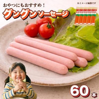 ふるさと納税 下関市 魚肉 ソーセージ 60本 グングンソーセージ