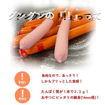 ふるさと納税 下関市 魚肉 ソーセージ 60本 グングンソーセージ HU006_1