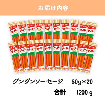 ふるさと納税 下関市 魚肉 ソーセージ 60本 グングンソーセージ HU006_3