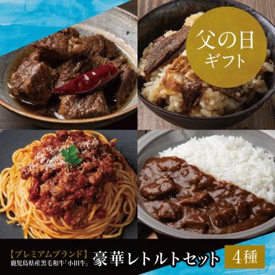 ふるさと納税 南さつま市 [父の日ギフト]「小田牛」レトルト4種セット(カレー・パスタ・牛とろ煮込み・混ぜご飯の素)