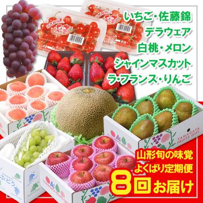 ふるさと納税 山形市 [定期便8回]☆フルーツ王国山形☆山形旬の味覚フルーツよくばり定期便 FY26-057