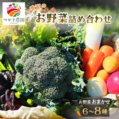 ふるさと納税 春日井市 つかさ農園 季節のお野菜詰め合わせ(6〜8種) ※北海道・沖縄・離島への配送不可