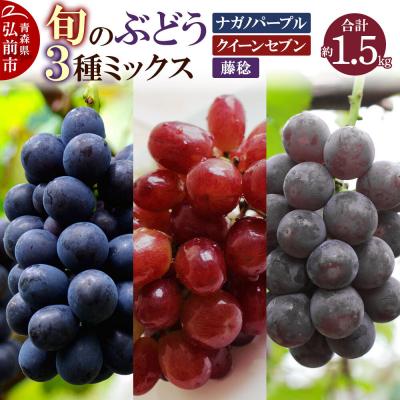 ふるさと納税 弘前市 旬のぶどう3種ミックス 約1.5kg|24_mmr-011501