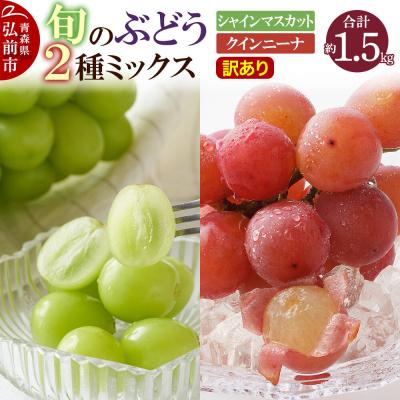 ふるさと納税 弘前市 [訳あり]旬のぶどう2種ミックス 約1.5kg|24_mmr-021501