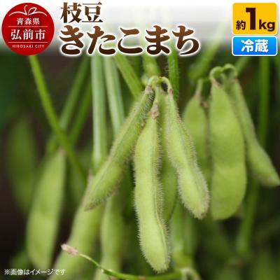 ふるさと納税 弘前市 [26年9月クール便発送]枝豆 きたこまち 約1kg まもる農園|24_mmr-040101