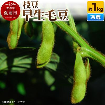 ふるさと納税 弘前市 [26年8月下旬〜クール便発送]枝豆 早生毛豆 約1kg まもる農園|24_mmr-050101