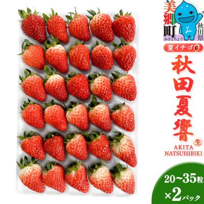 ふるさと納税 美郷町 夏イチゴ「秋田夏響」 生 20〜35粒詰め合わせ×2パック|01_ats-130201