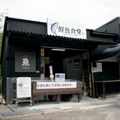 ふるさと納税 大月町 高知県産 鮮魚 詰め合わせ便 3kg 谷鮮魚食堂 刺し身 煮付け 産地直送 生魚 刺身 刺し身_1