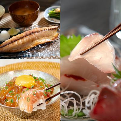 ふるさと納税 大月町 高知県産 鮮魚 詰め合わせ便 3kg 谷鮮魚食堂 刺し身 煮付け 産地直送 生魚 刺身 刺し身_2