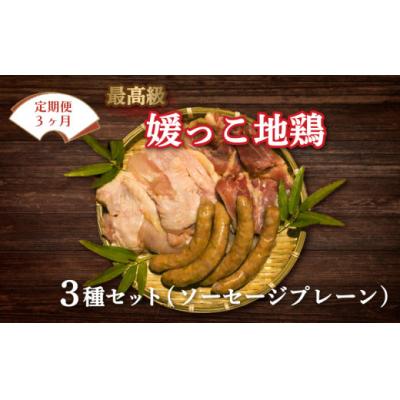 ふるさと納税 愛南町 定期便 3回 数量限定 最高級 ブランド 地鶏 媛っこ地鶏 セット3種 ソーセージ プレーン 鶏肉