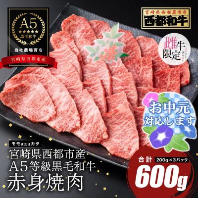ふるさと納税 西都市 [お中元ギフト][A5等級黒毛和牛]赤身焼肉(200g×3)宮崎県産 カミチクファーム[2705]