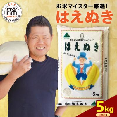 ふるさと納税 米沢市 [先行予約]令和8年産 はえぬき 5kg ( 5kg × 1袋 )
