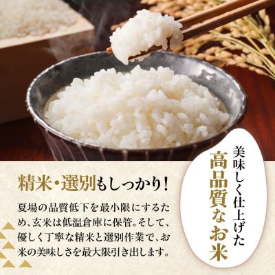 ふるさと納税 米沢市 令和8年産 はえぬき 5kg ( 5kg × 1袋 ) |  | 02