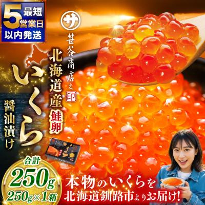 ふるさと納税 釧路市 [2026年7月発送] 新物 北海道産いくらしょう油漬250g 笹谷商店