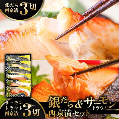 ふるさと納税 江東区 銀だら&amp;サーモントラウト西京漬セット [kt113-003]
